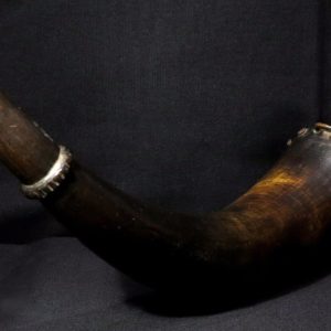 Antique Zulu Powder Horn – 19th century – South Africa