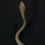 Large Forged Ritual Snake – Lobi – Burkina Faso