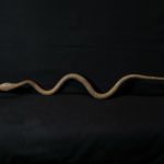 Large Forged Ritual Snake – Lobi – Burkina Faso