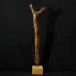 Dogon Sacred Ladder – “Soul Ladder” – Mali