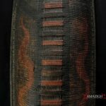 Antique Large Ngbaka Battle Shield – DR Congo – Outstanding Rare Item