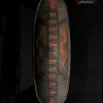 Antique Large Ngbaka Battle Shield – DR Congo – Outstanding Rare Item