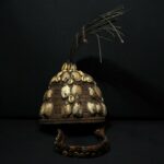 Authentic Tribally Used Lega Ceremonial Hat – Bwami Society – D.R.Congo