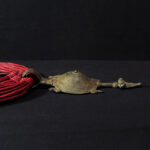 Large Fine Lobi Amulet – Turtle – Burkina Faso