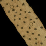 Mbuti-Pygmy BARKCLOTH – Ituri Rainforest, DR Congo