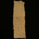 Mbuti-Pygmy BARKCLOTH – Ituri Rainforest, DR Congo