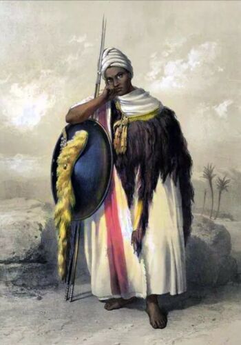 Ethiopian Warrior