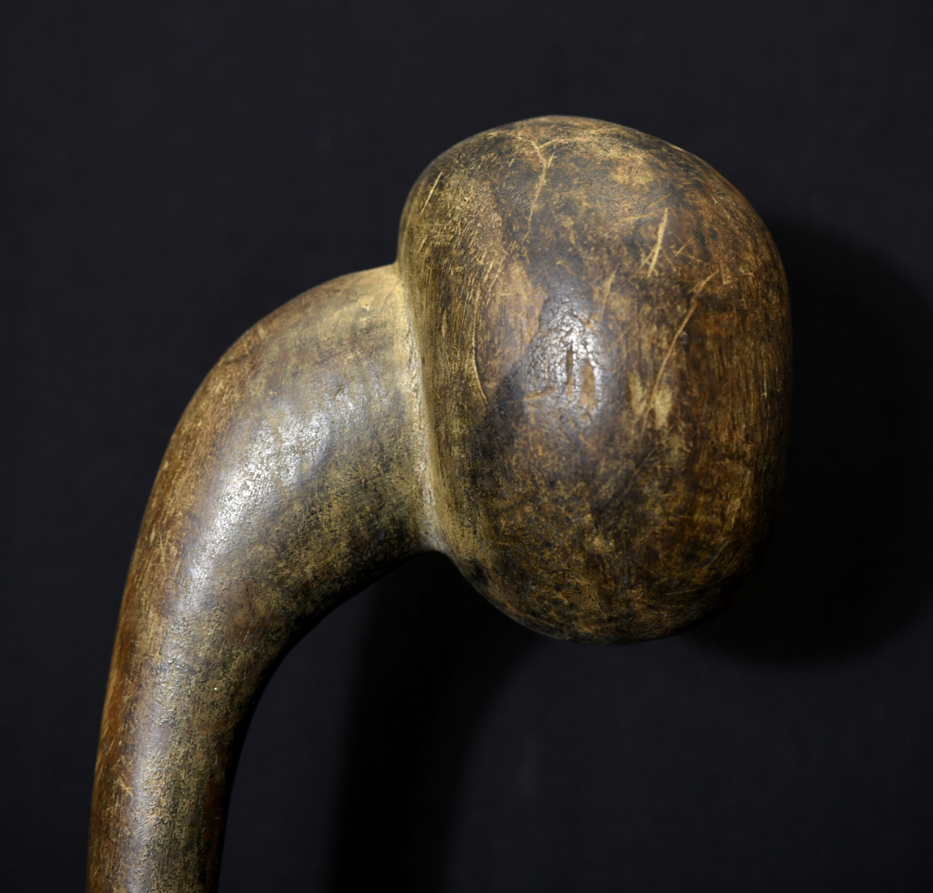 Old Maasai Rungu – East Africa – Former German Collection