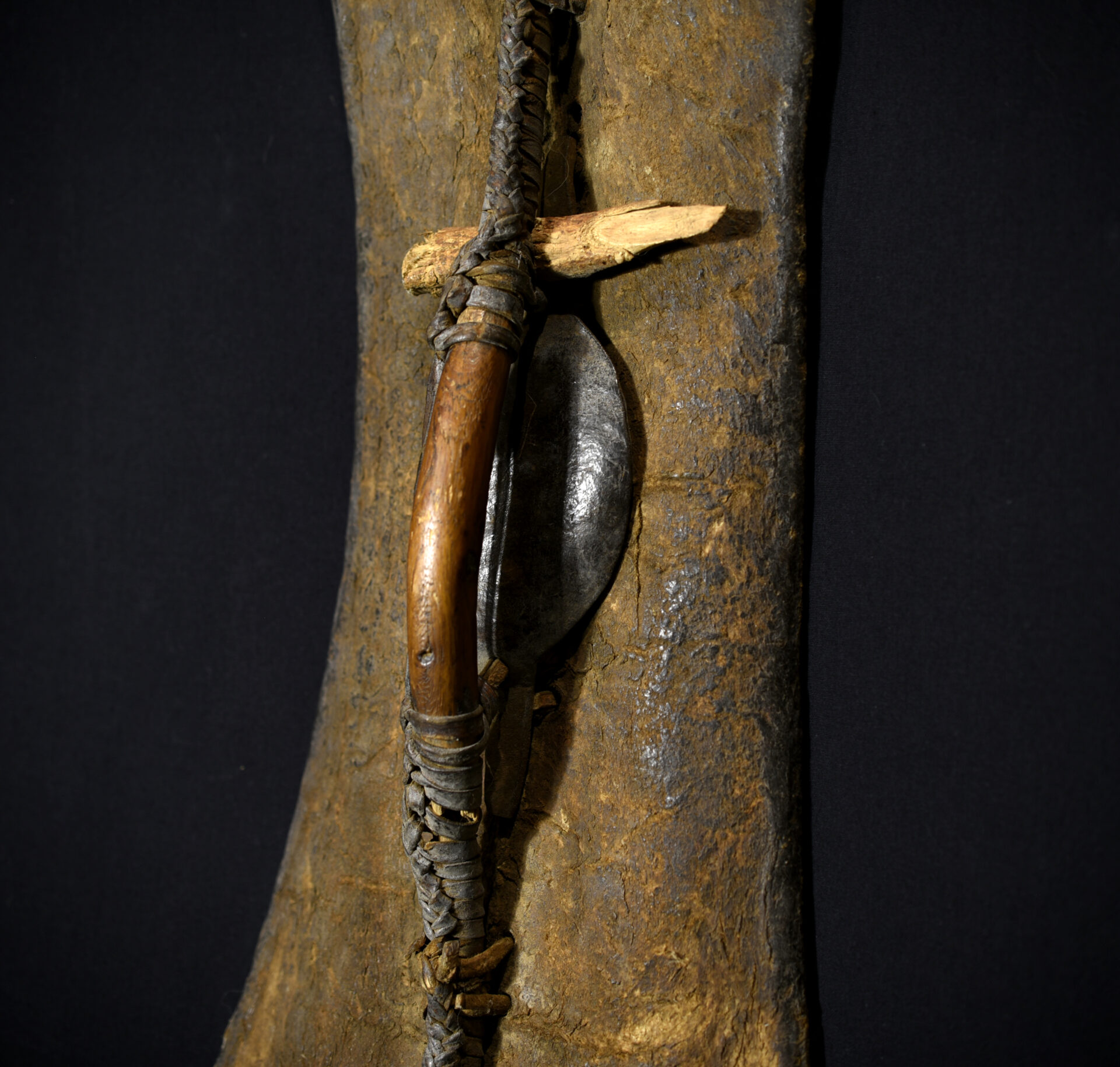 Antique Shield – Turkana – Kenya – Former German Collection – Outstanding Piece