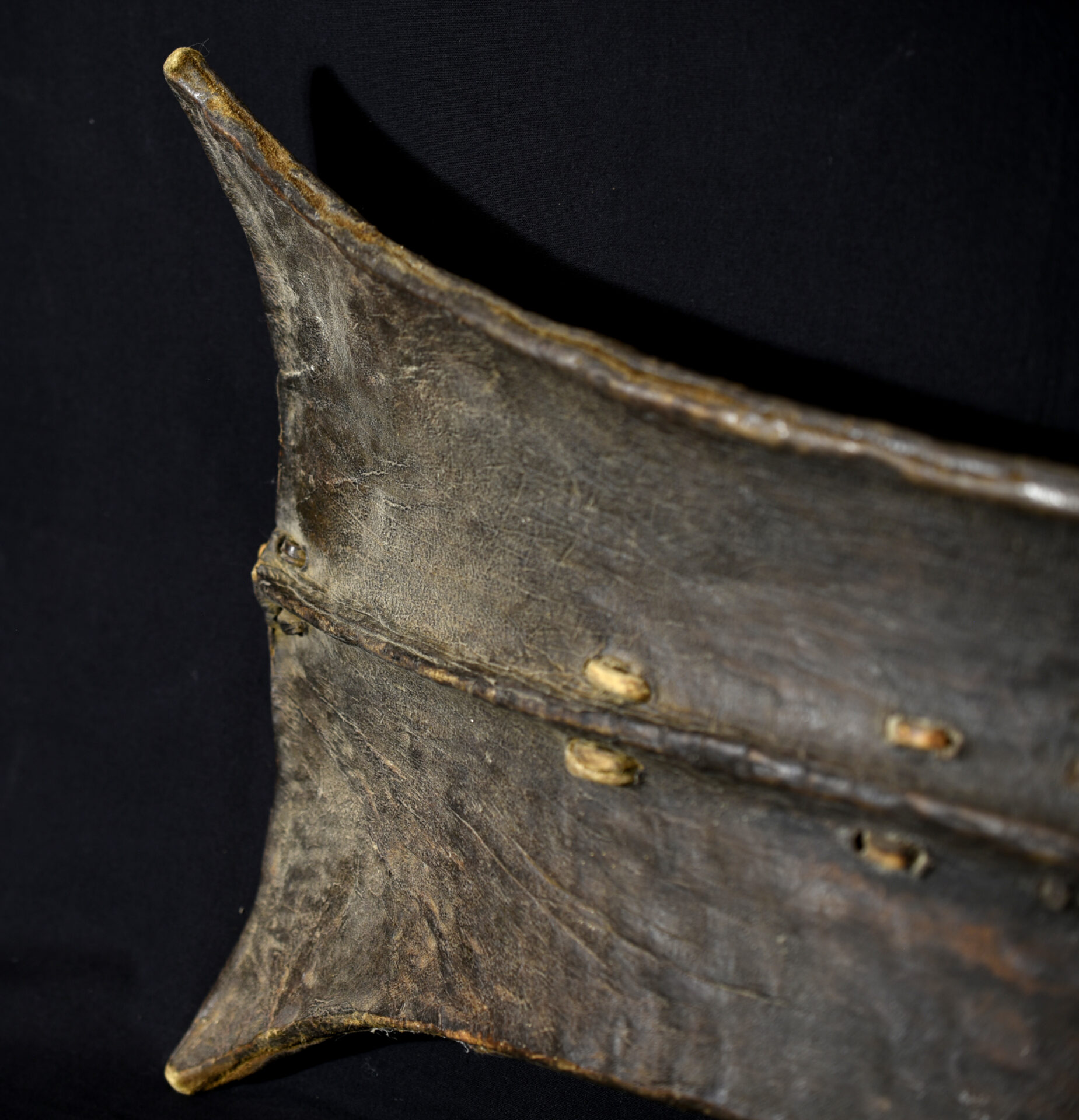 Antique Shield – Turkana – Kenya – Former German Collection – Outstanding Piece